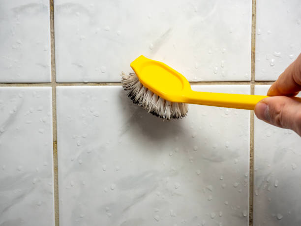 Best Mold Testing and Inspection Services in Pocomoke City, MD